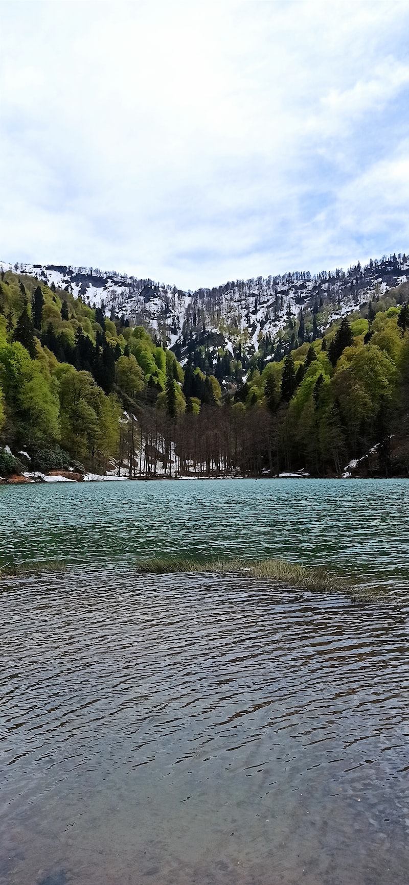 Artvin: Borçka Karagöl Tabiat Parkı Artvin: Borçka Karagöl Tabiat Parkı