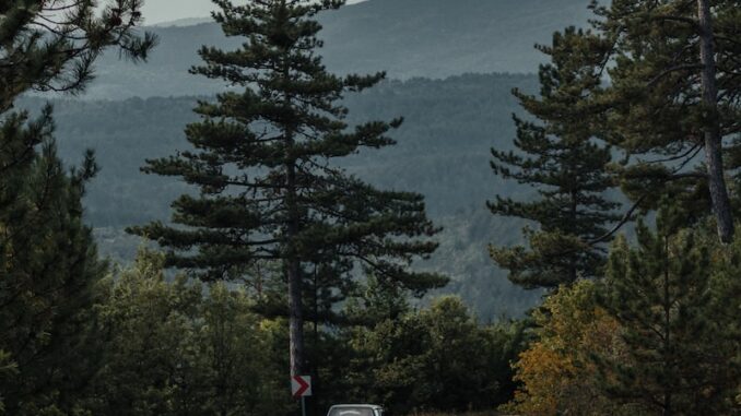 uploaded-image-kastamonu-ormanlar-ve-tarih-1697104282460