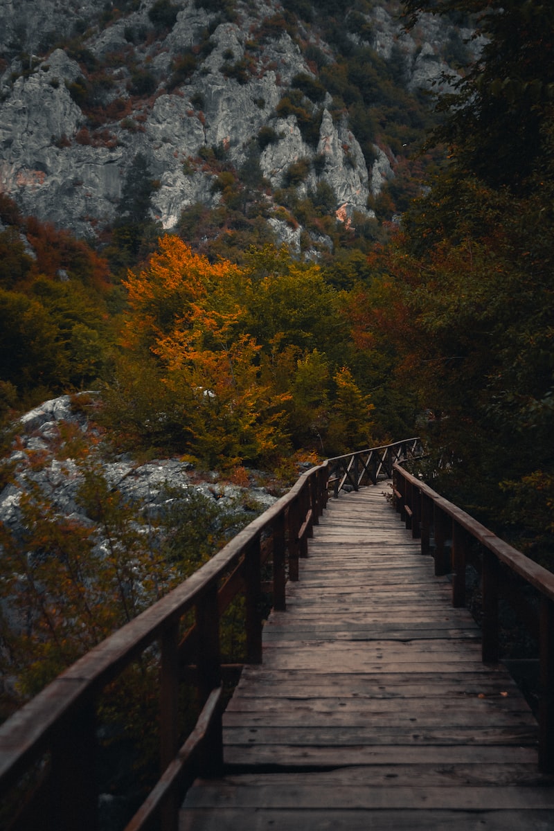 Kastamonu: Ormanlar ve Tarih Kastamonu: Ormanlar ve Tarih