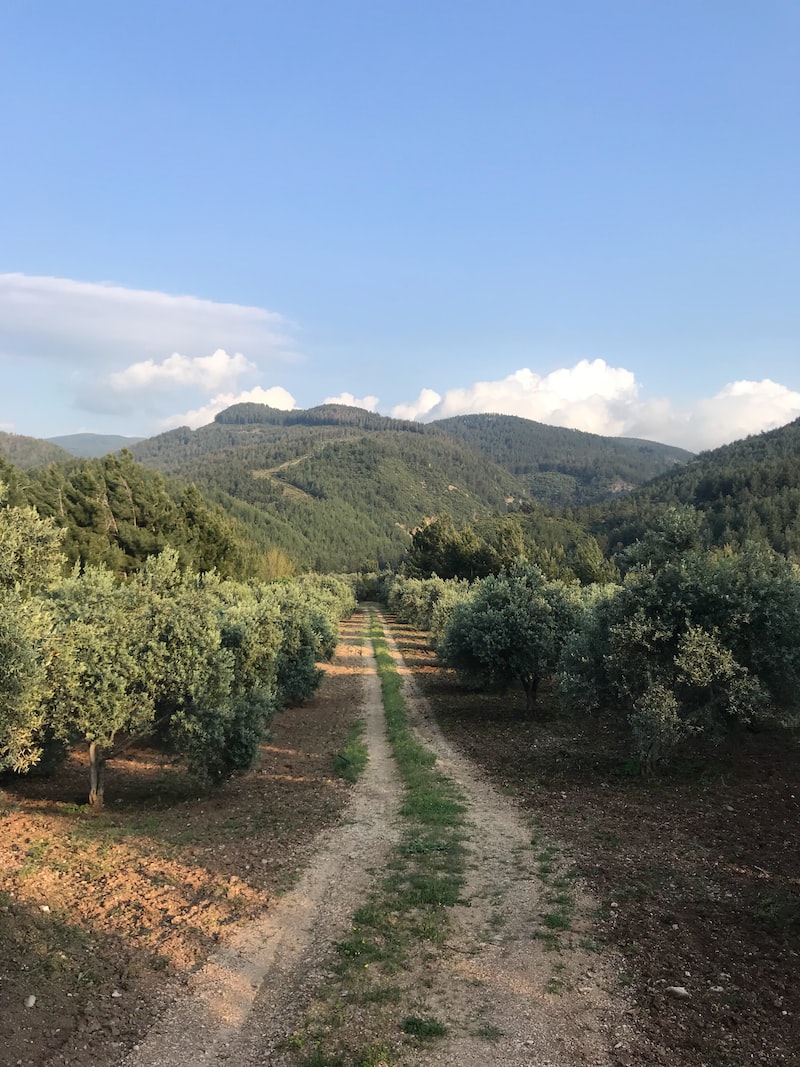 Osmaniye: Karacaoğlan Müzesi Osmaniye: Karacaoğlan Müzesi
