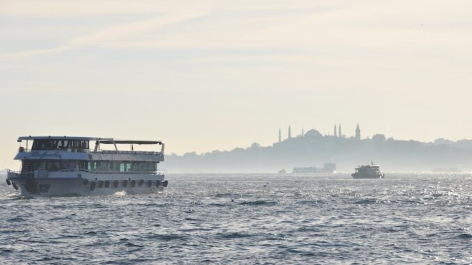 uploaded-image-siirt-tarihi-tas-evler-1697104286416