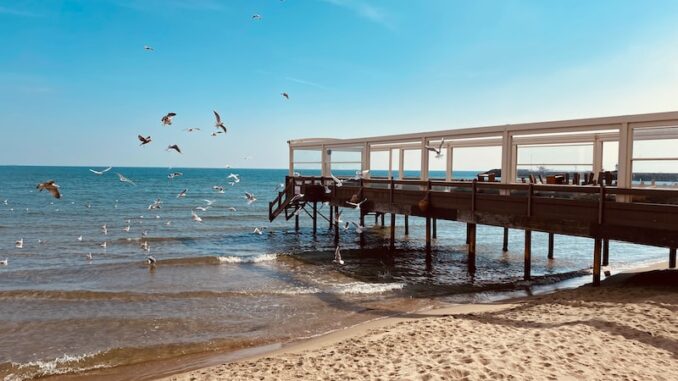 uploaded-image-tekirdag-trakyanin-incisi-1697104278838